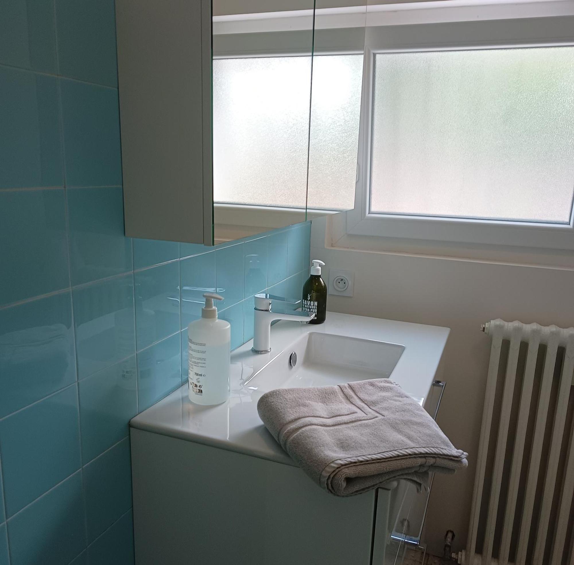 Grand Appartement, 2 Chambres Et Jardin Nîmes Dış mekan fotoğraf
